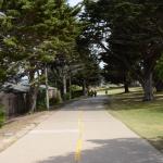 Monterey2016_0153 (April 29, 2016)